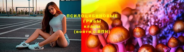 Альфа ПВП Арсеньев