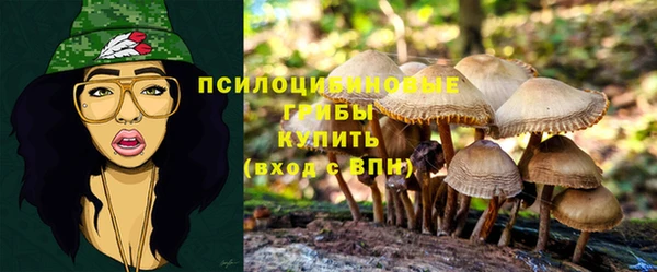 Альфа ПВП Арсеньев